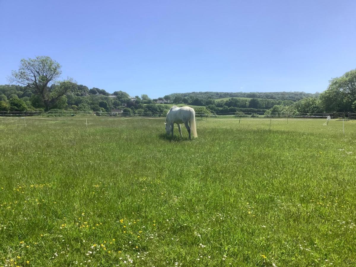 Villa The Forge Winscombe Esterno foto